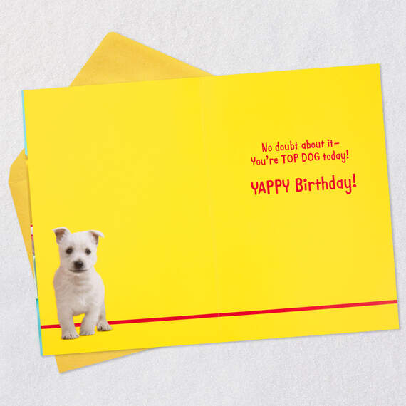 You're Top Dog Today Funny Birthday Card, , large image number 3
