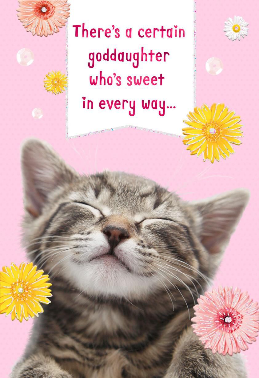 Daisy Kitten Birthday Card for Goddaughter
