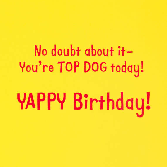 You're Top Dog Today Funny Birthday Card, , large image number 2