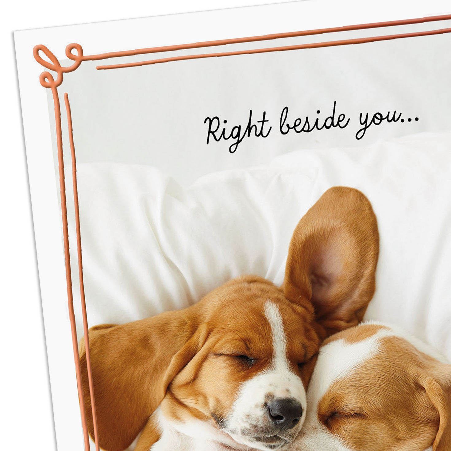 Cuddling Hound Dog Puppies Love Card Card Front Detail image number 4