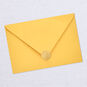 Sun Rays Birthday Card, , large image number 8