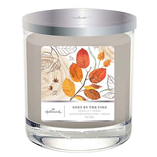Cozy By the Fire 3-Wick Jar Candle, 16 oz., 