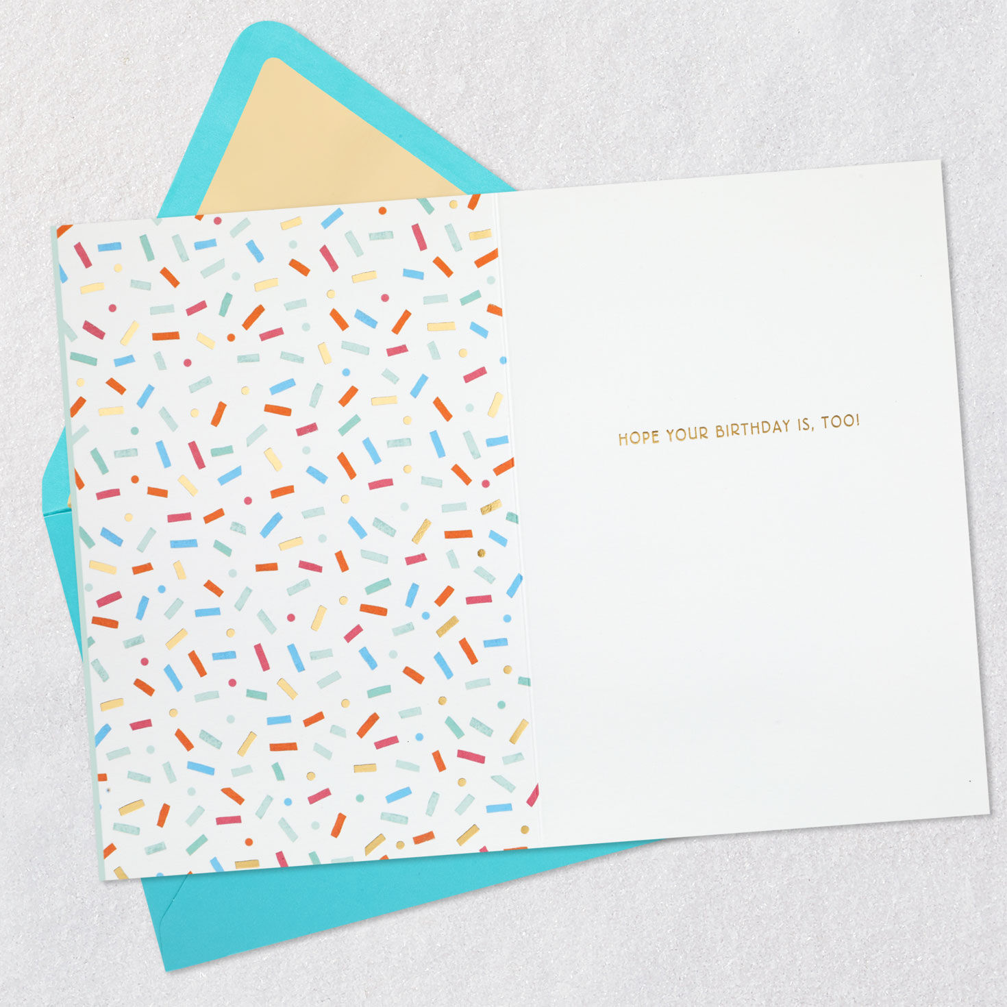 Colorful Zebra on Mint Birthday Card Open card with envelope image number 3