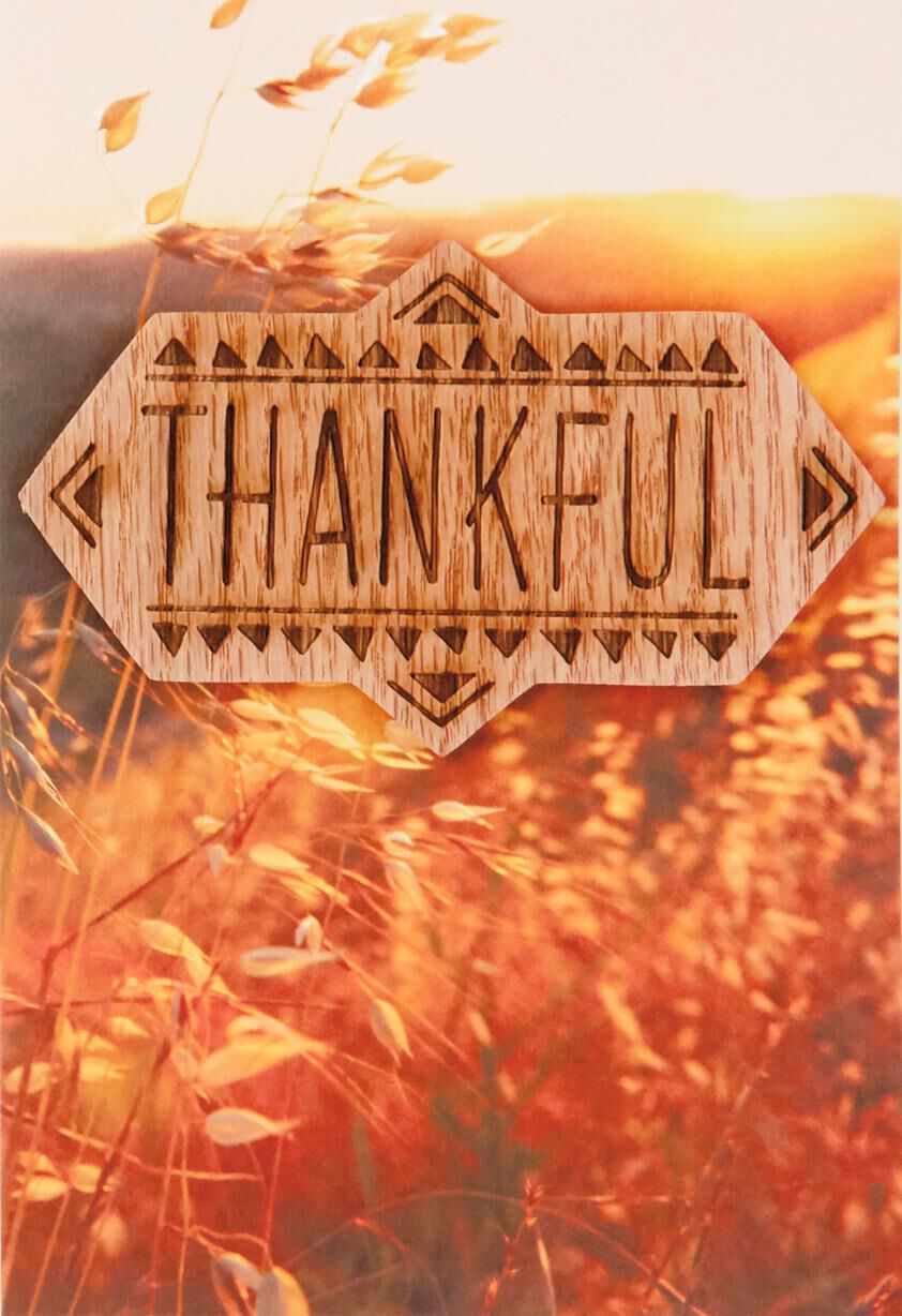 Thankful for You Thanksgiving Card