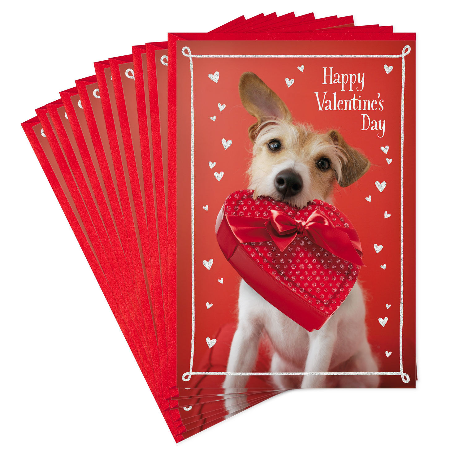 Dog With Box of Chocolates Valentine's Day Cards, Pack of 10