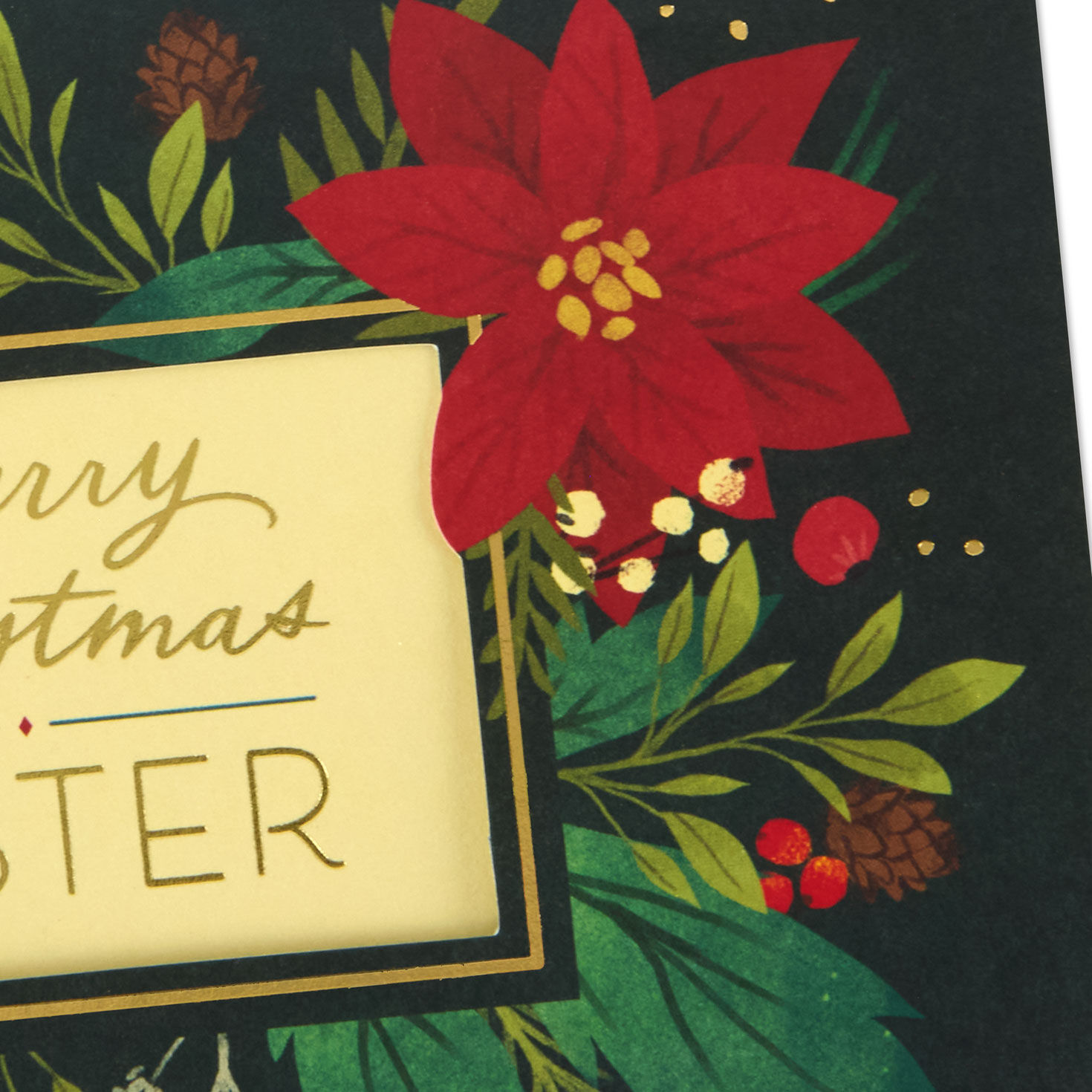 Poinsettia Flowers Sister Christmas Card Card Front Detail image number 5