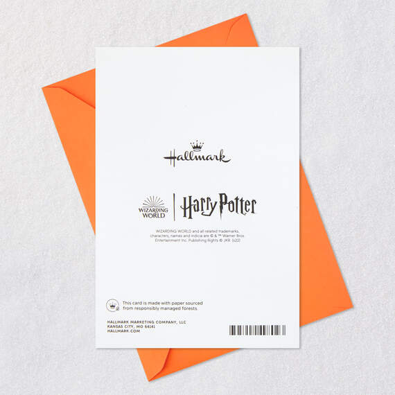 Harry Potter™ You're a Firebolt Halloween Card, , large image number 7