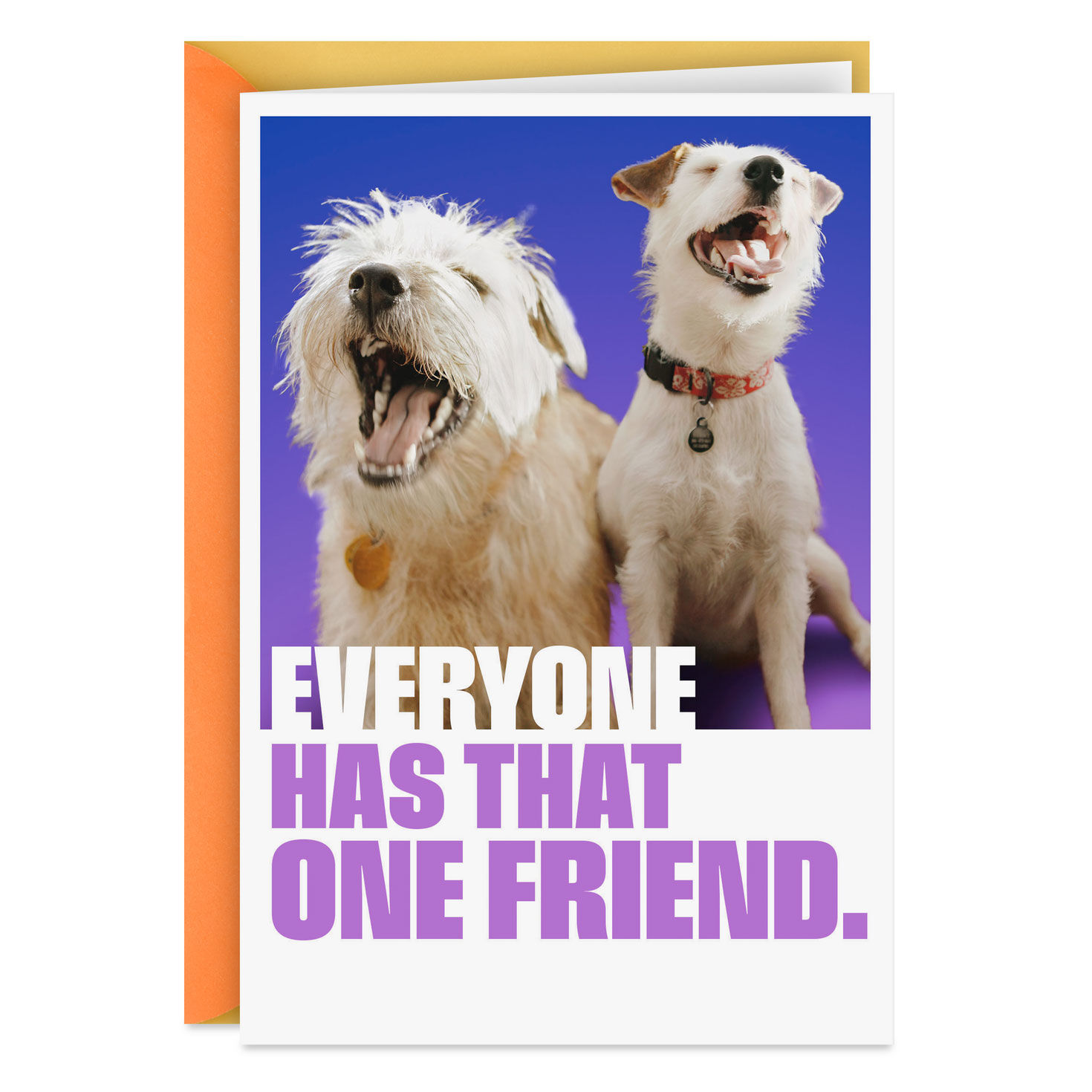 That One Friend Funny Friendship Card