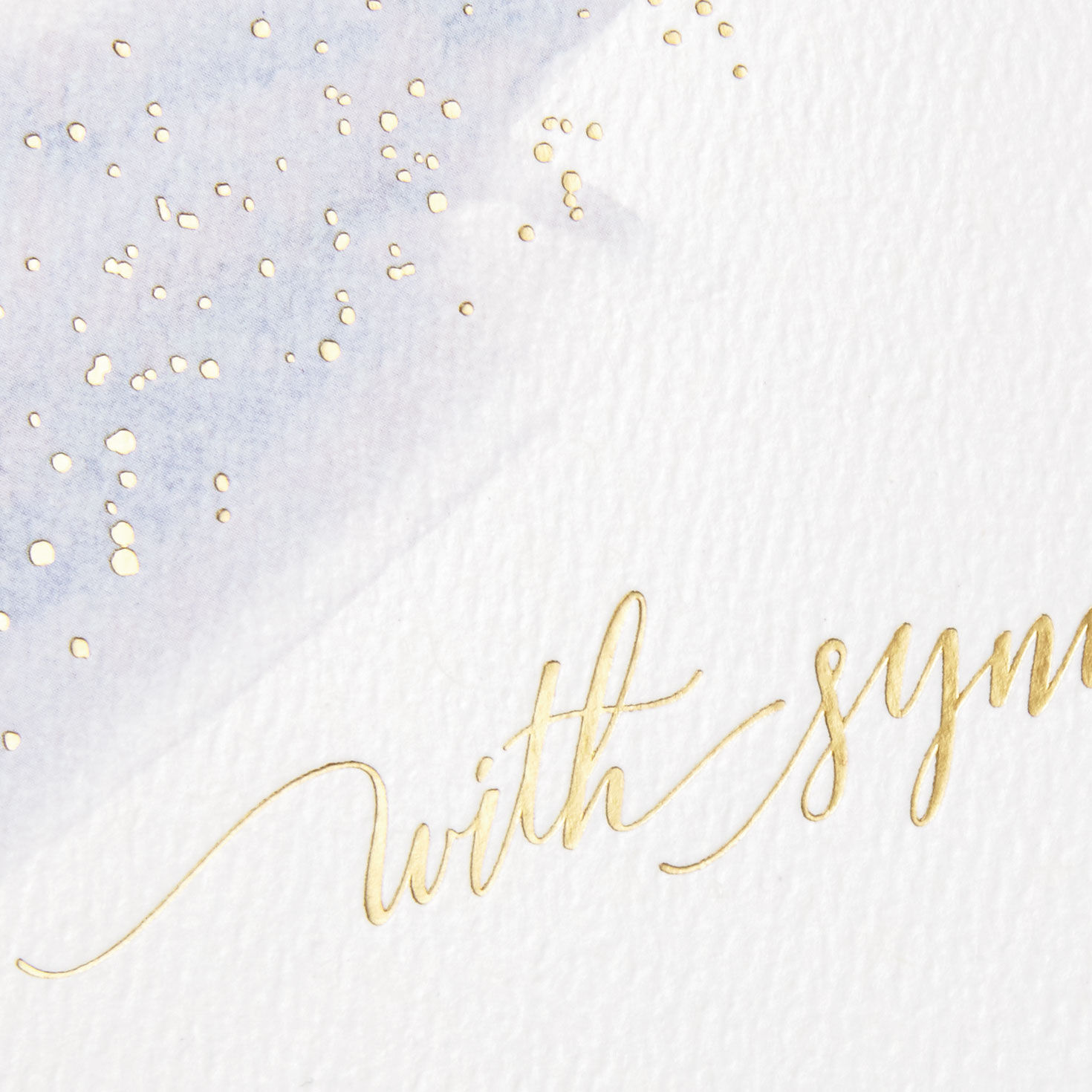 So Many Thoughts and Prayers Sympathy Card - Greeting Cards | Hallmark