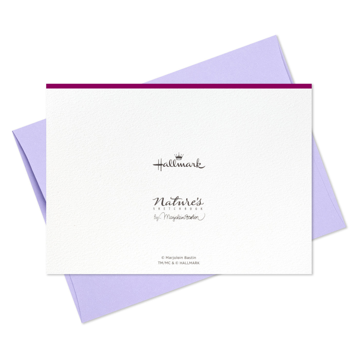 Marjolein Bastin Nature Art Blank Cards in Caddy Card Back with Envelope image number 5