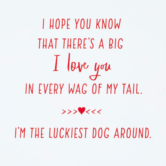 I'm the Luckiest Valentine's Day Card From the Dog, , large image number 2
