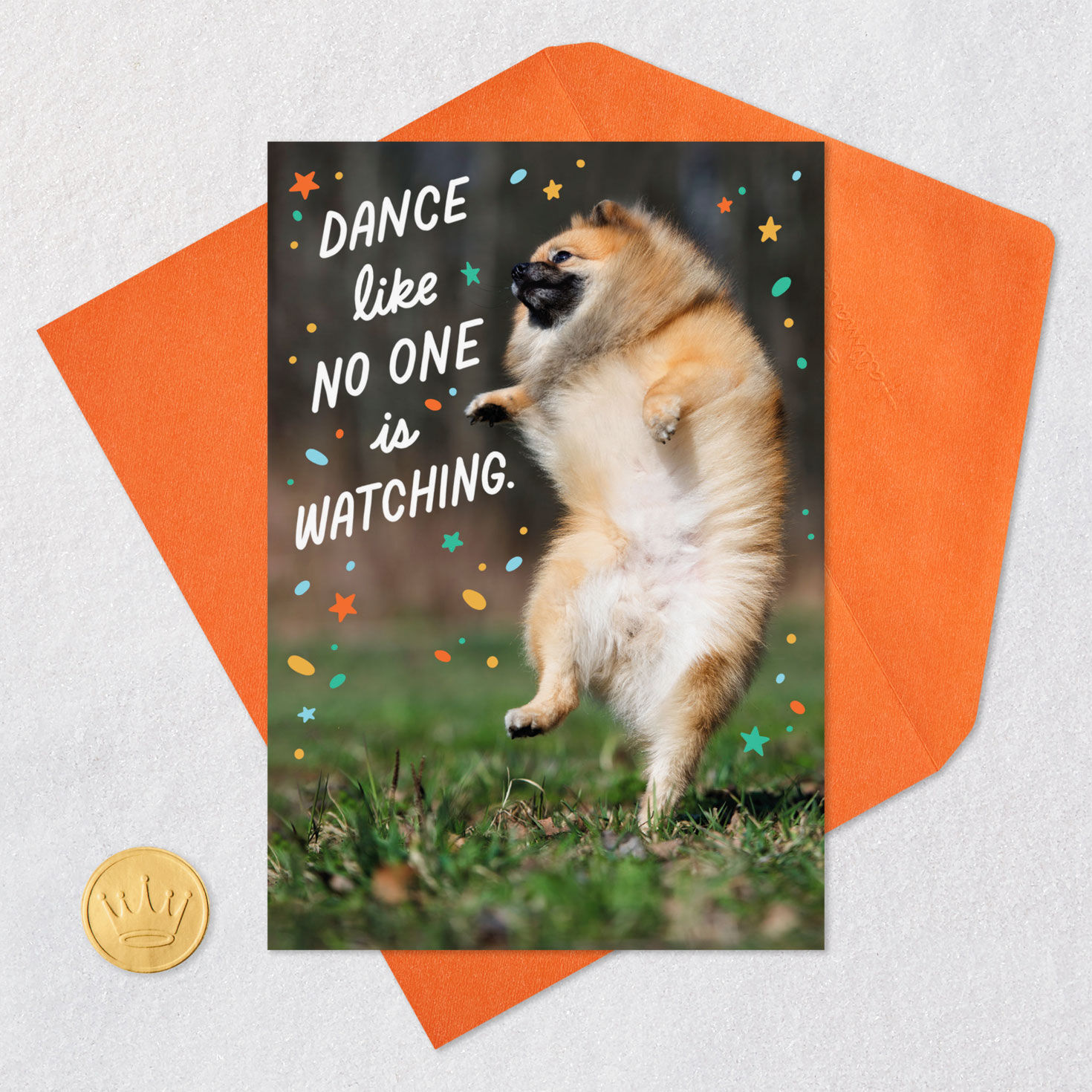 Dancing Dog Photo Funny Birthday Card Card front with envelope and gold seal image number 5