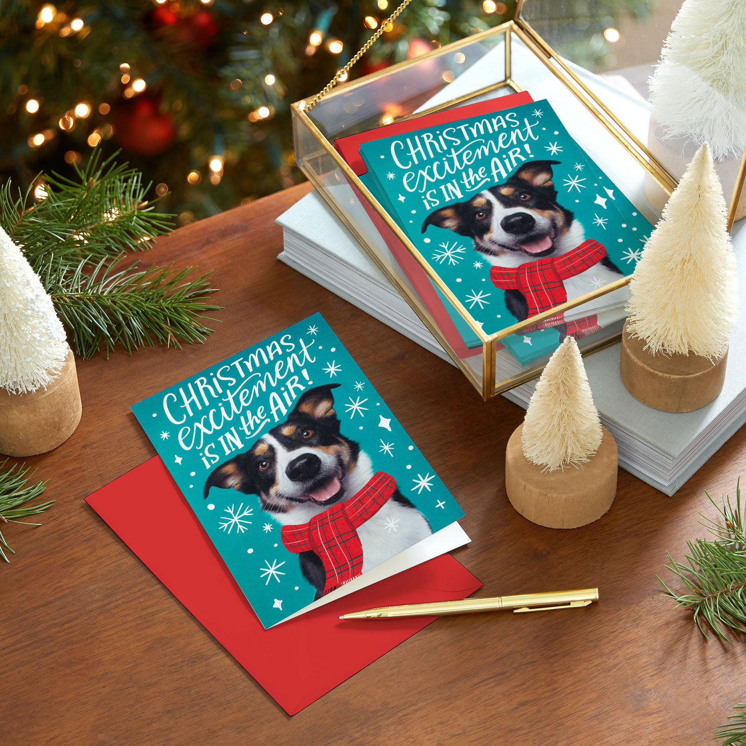 Christmas Excitement Boxed Christmas Cards, Pack of 16 for only USD 9.99 | Hallmark