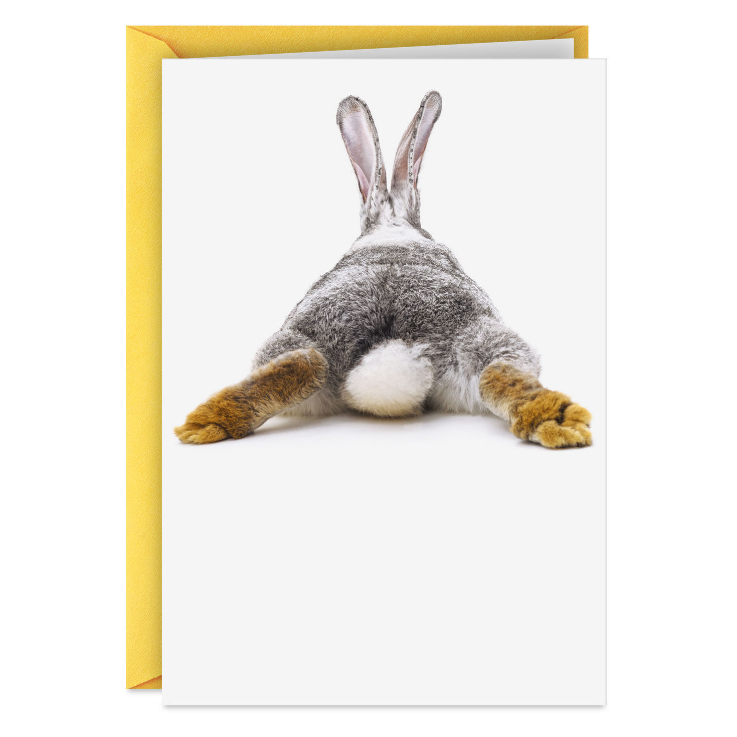 Guess What Bunny Butt Funny Easter Card