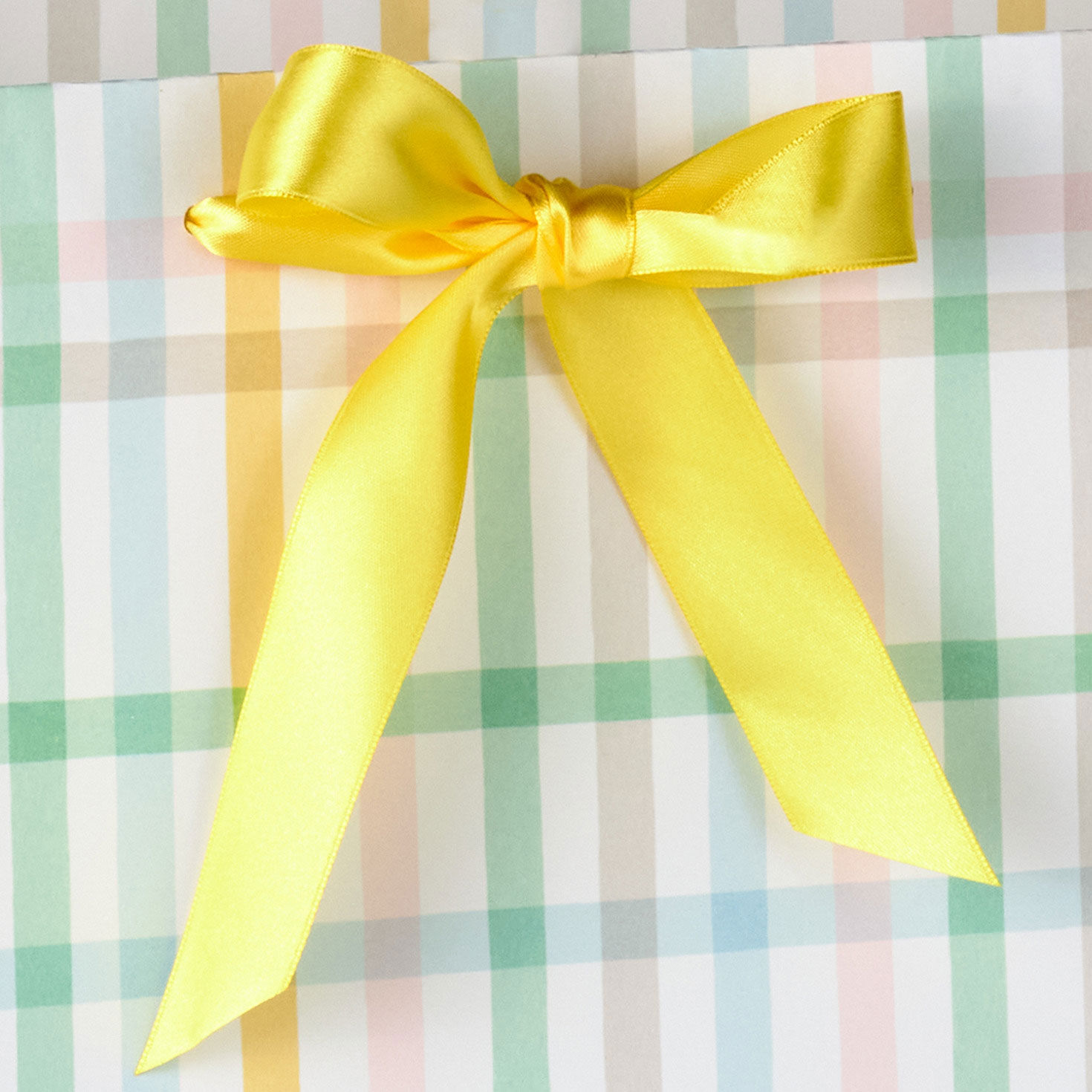 Pink, Blue, Yellow, Green and Brown Plaid Gift Bag Handle Detail image number 4