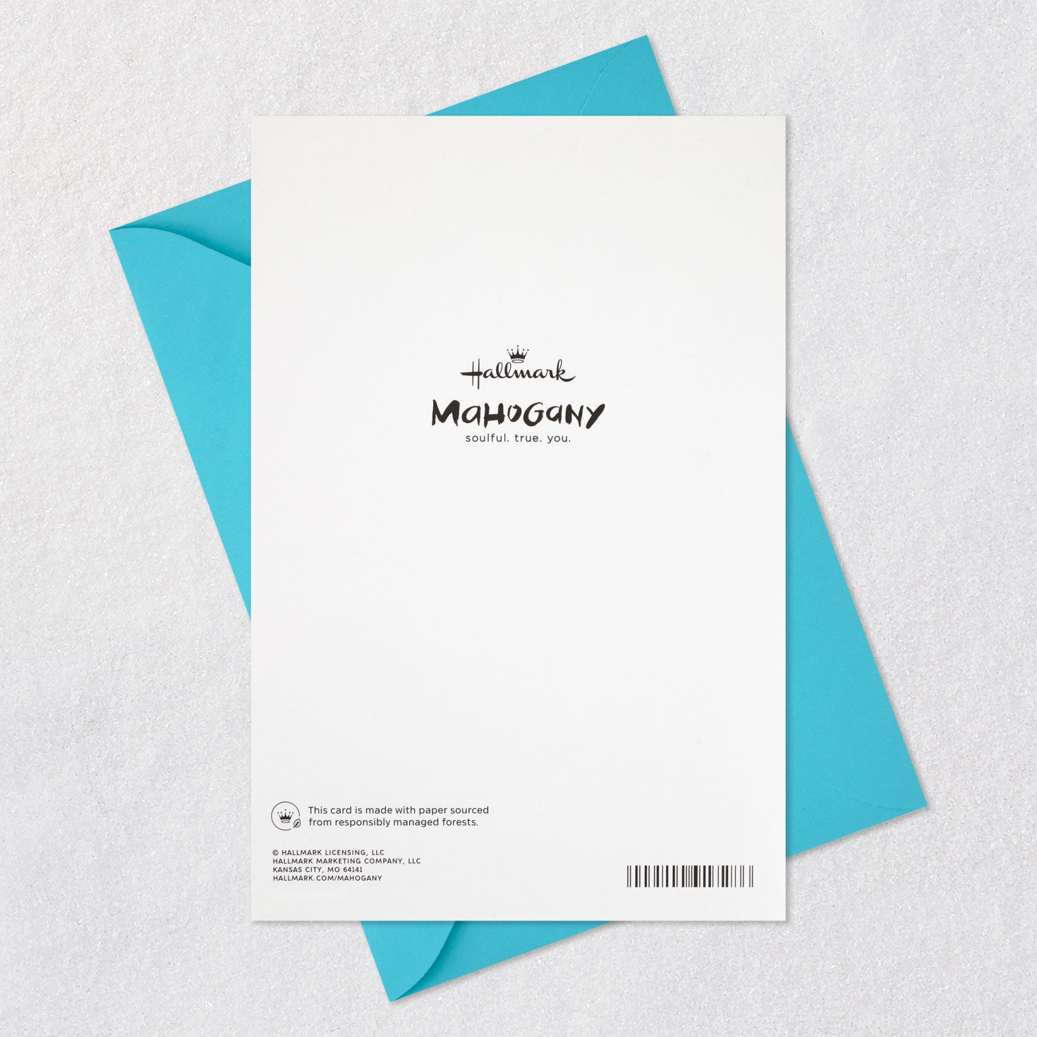 You Always Put Family First Mother's Day Card for Sister, , large image number 7