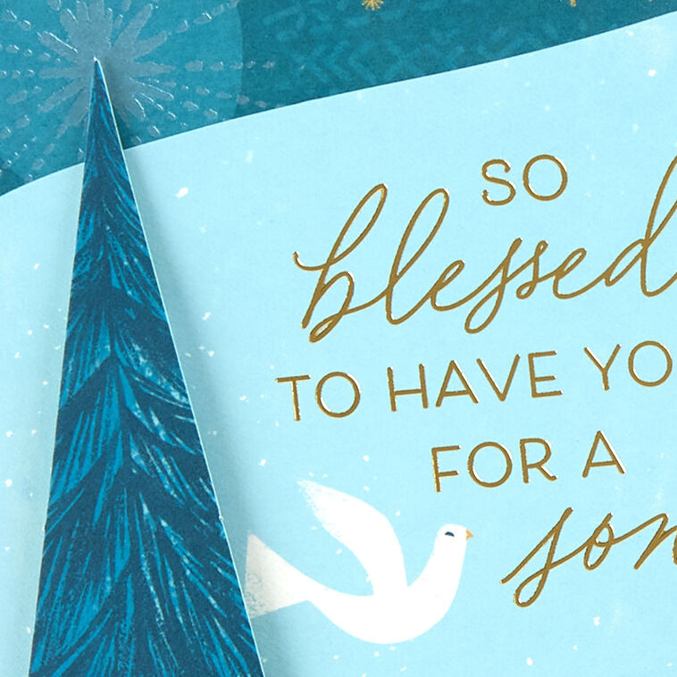 Dove and Trees Son Christmas Card Card Front Detail image number 5