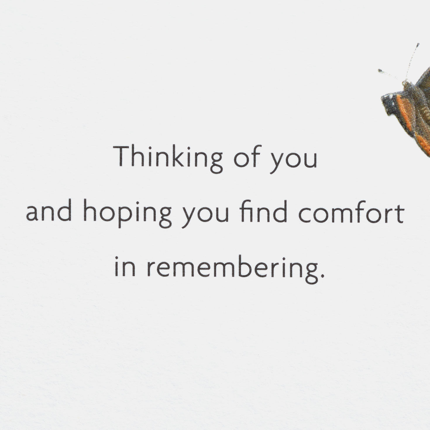 Marjolein Bastin Take Comfort in Memories Sympathy Card for only USD 3.99 | Hallmark