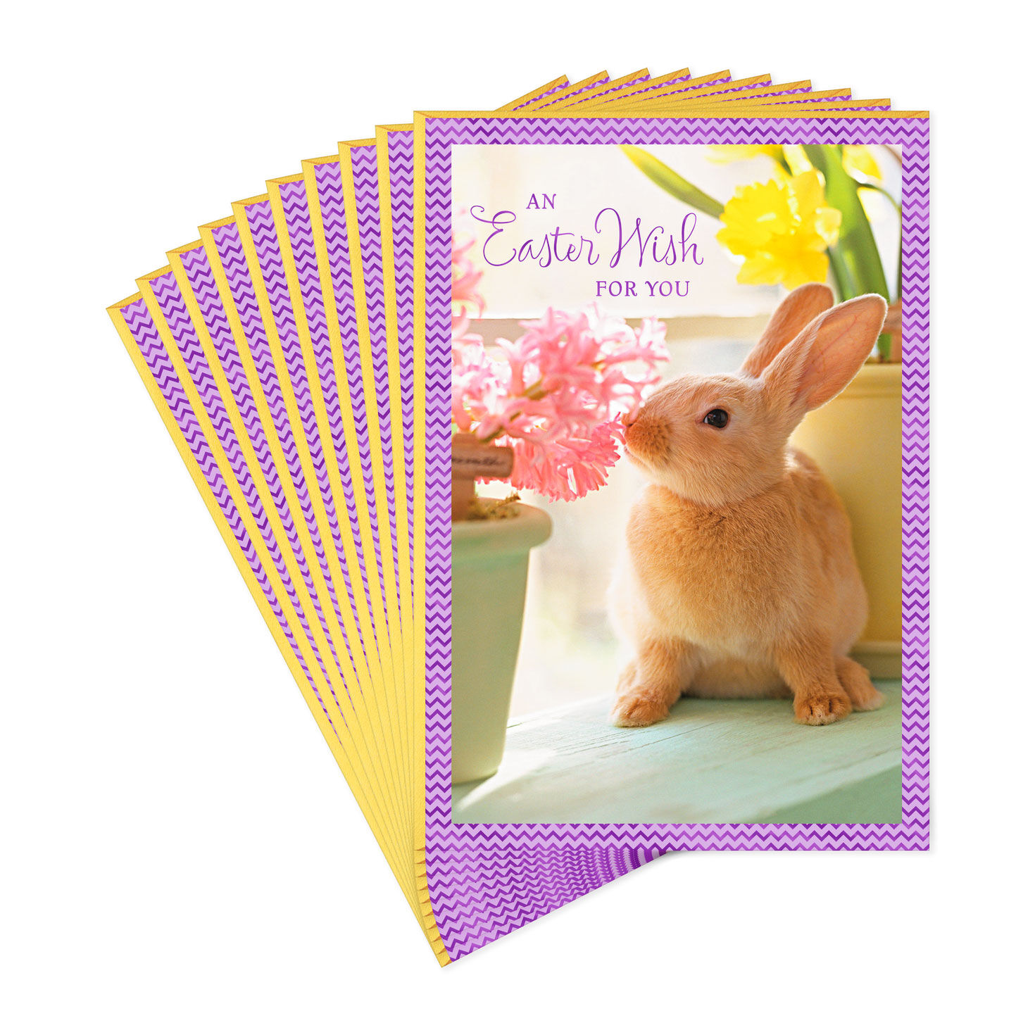 NEW Extra Bright Holiday Boxed Christmas Cards Bunny Rabbit Lights 14 Cards