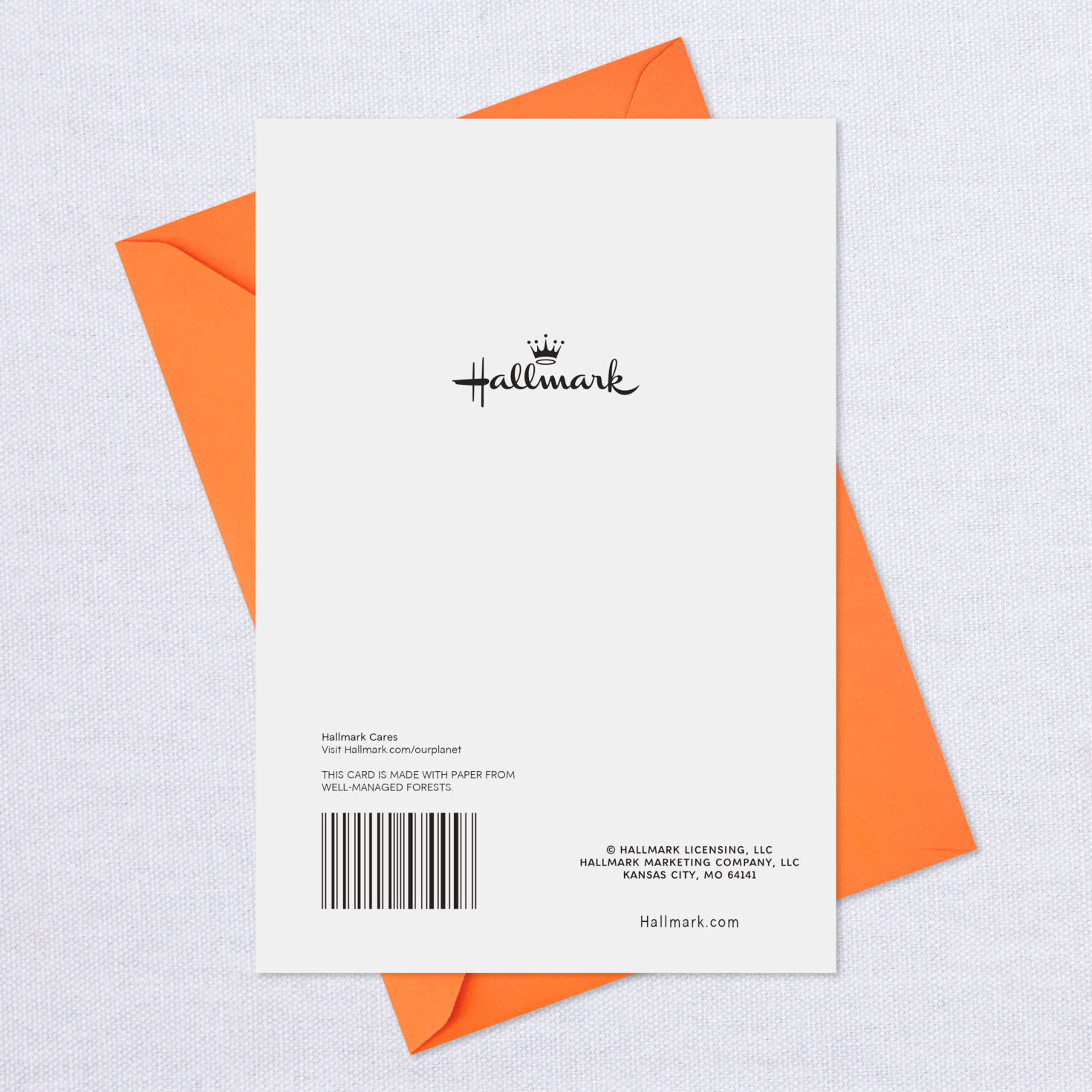 Smiling Jacko'Lantern Thinking of You Halloween Card Greeting Cards