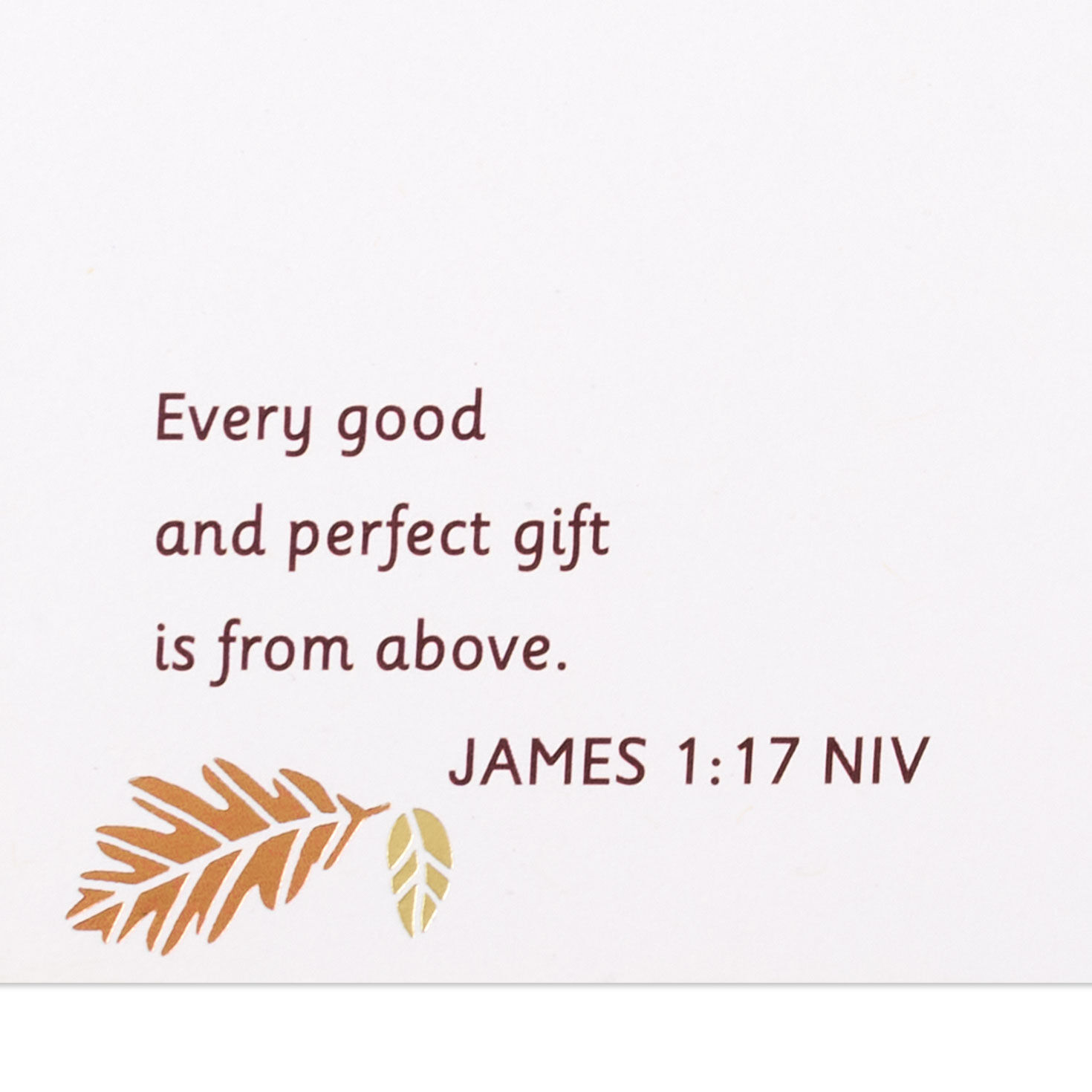 Pumpkins and Leaves Clergy Appreciation Card for Pastor and Wife scripture image number 3