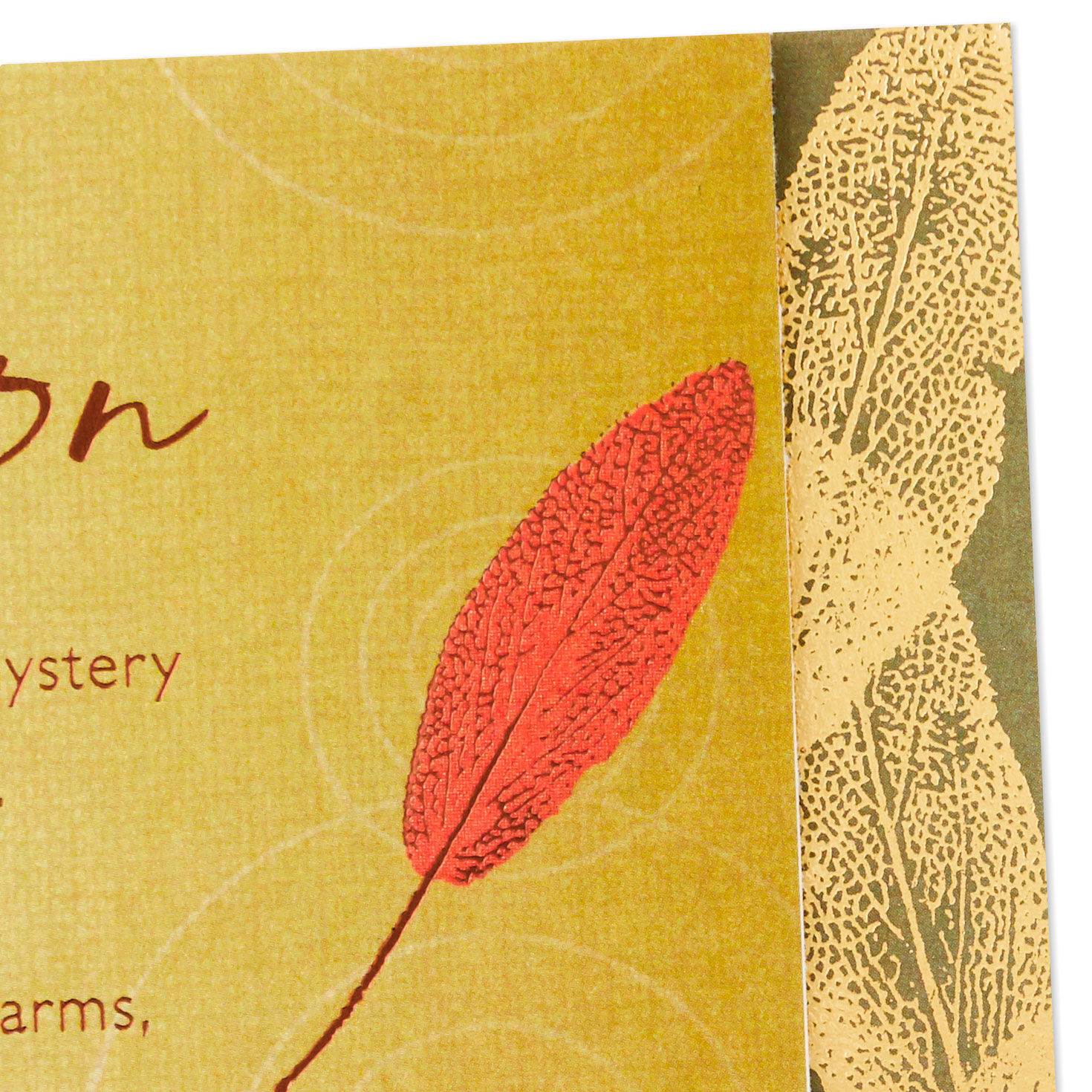 So Proud to Have You for a Son Birthday Card, , large image number 5