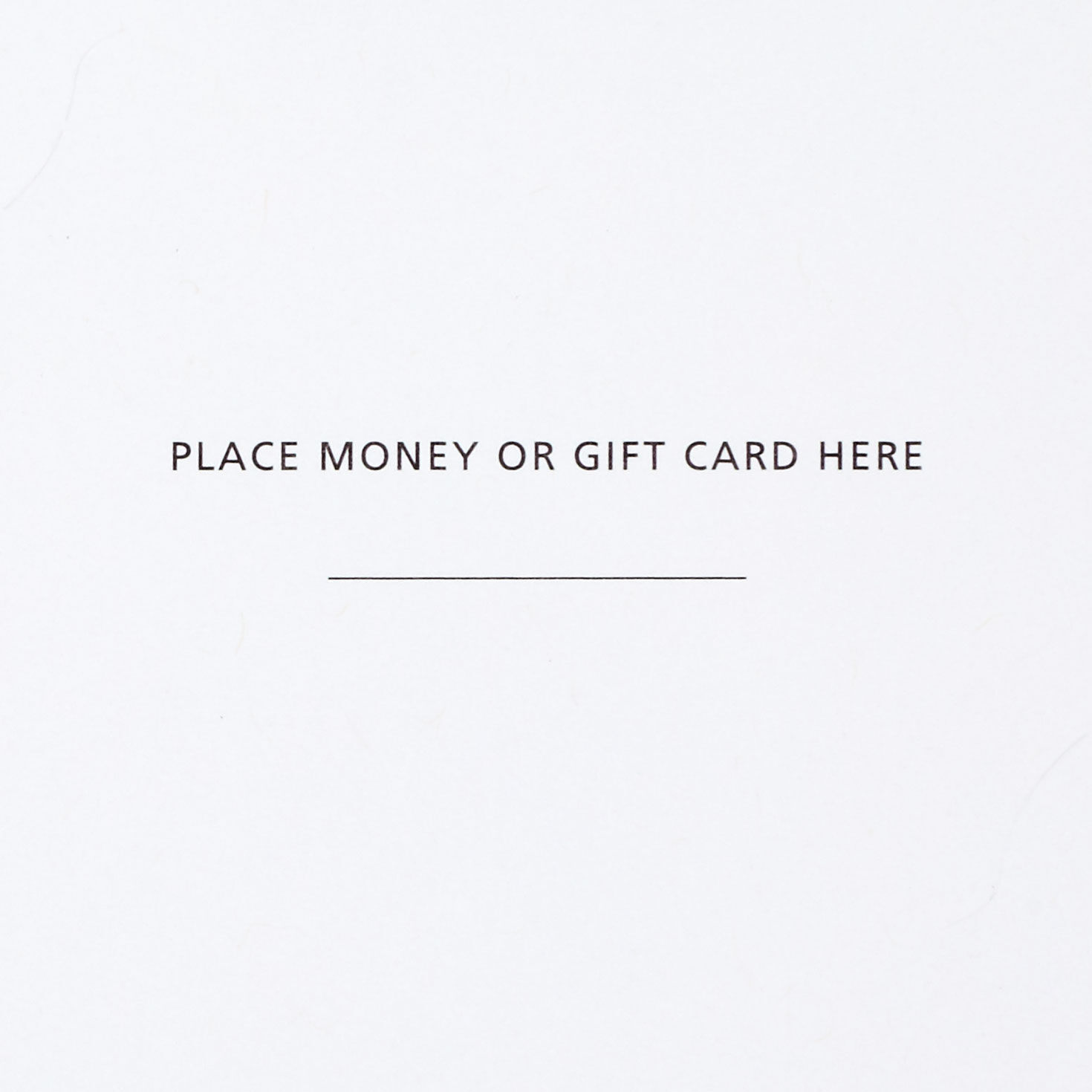 Blackboard Style Money Holder Christmas Cards sentiment image number 4