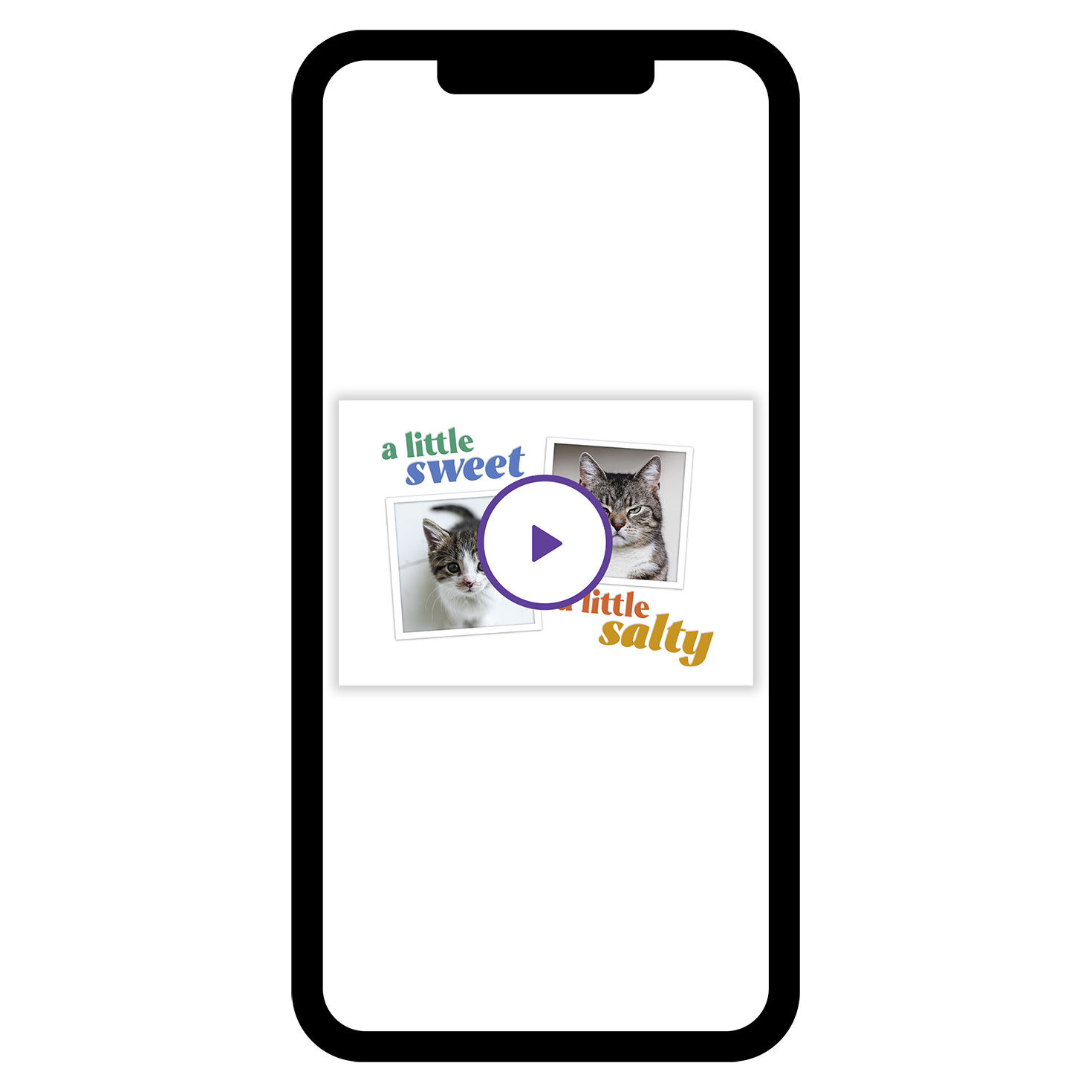 Sweet and Salty Funny eCard