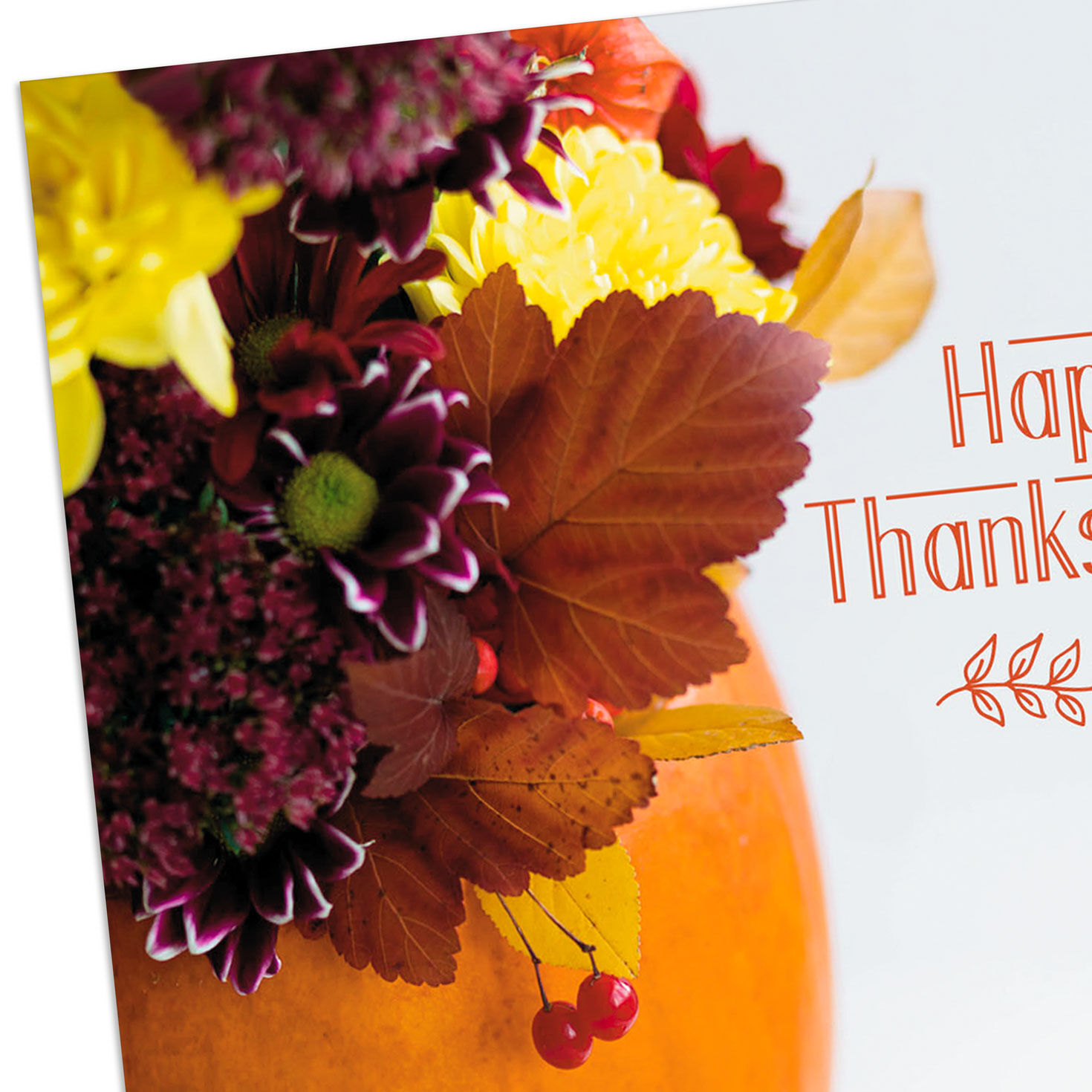 Every Good Thing Thanksgiving Cards, Pack of 6 for only USD 4.99 | Hallmark
