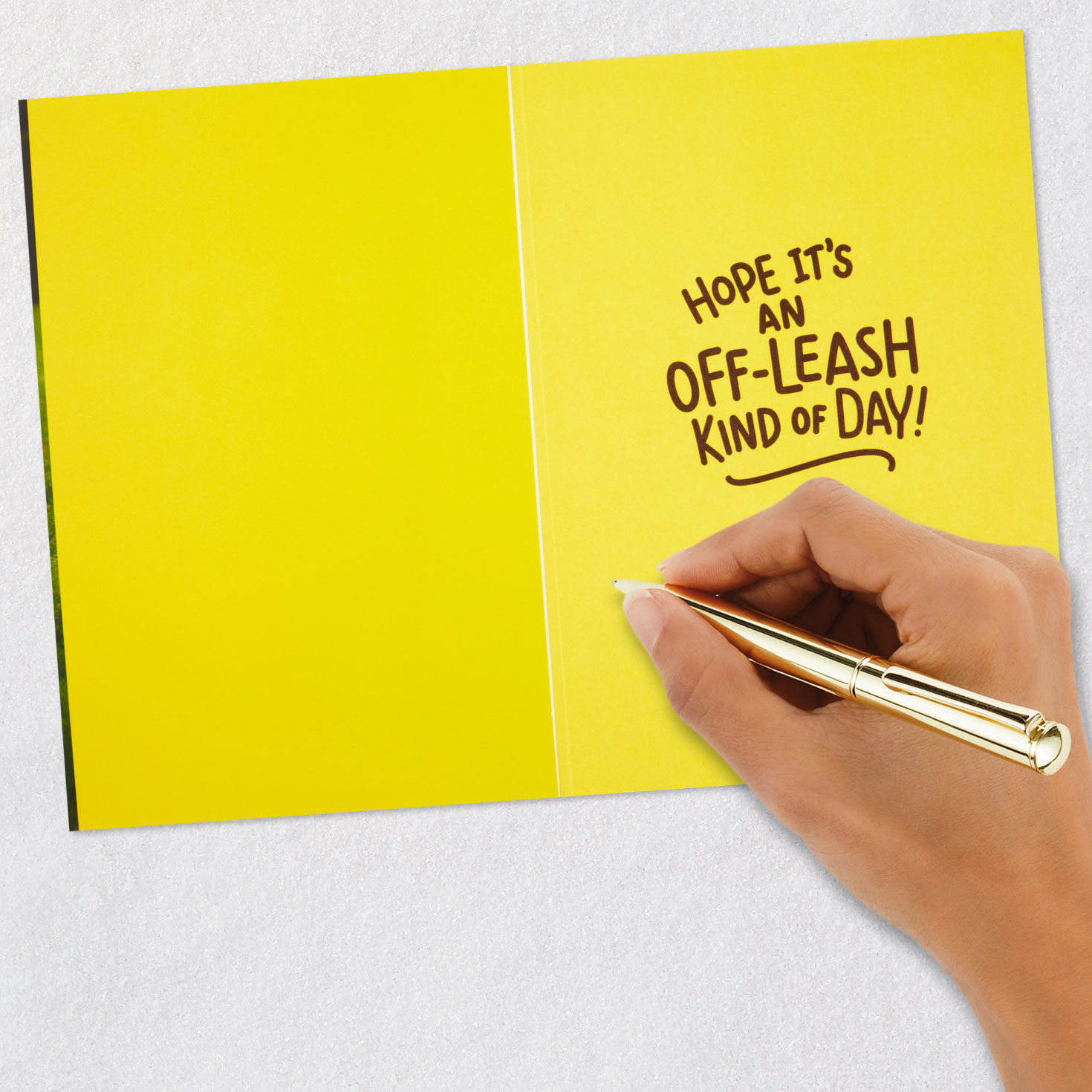 Have an Off-Leash Kind of Day Funny Birthday Card, , large image number 6