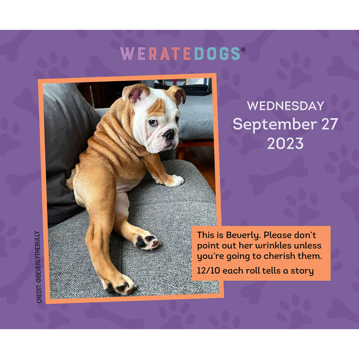 We Rate Dogs 2023 Daily Desktop Calendar Calendars & Planners Hallmark
