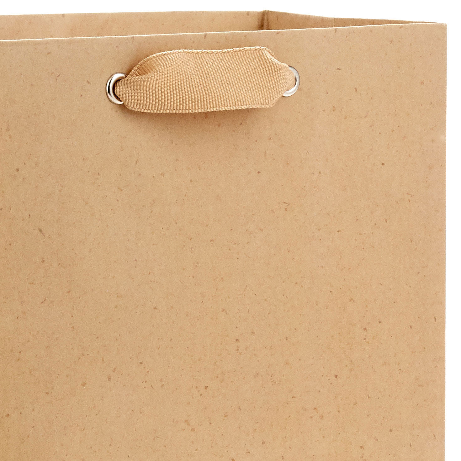 Kraft Medium Gift Bag Handle Detail image number 4
