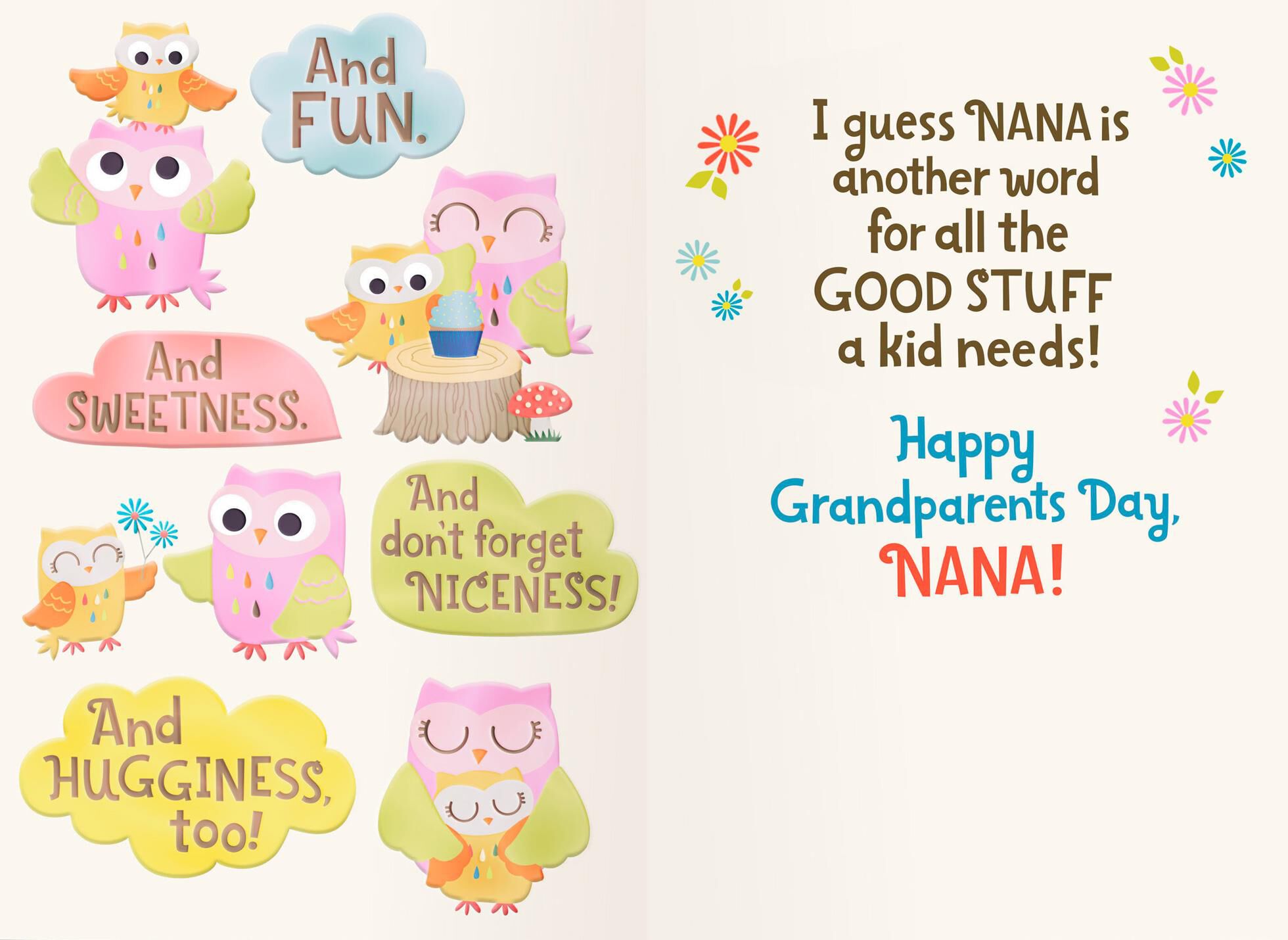 Two Owls Nana Means Love Grandparents Day Card