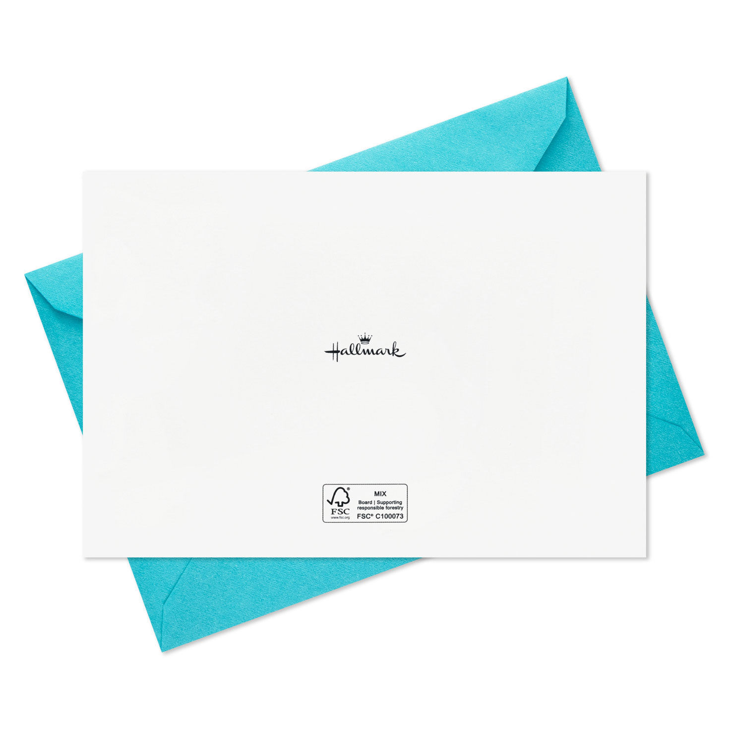 Bird and Botanical Banner Boxed Christmas Cards, Pack of 16 for only USD 15.49 | Hallmark