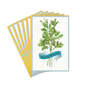 Green Herbs With Banner Passover Cards, Pack of 6, , large image number 1