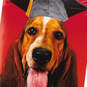 Dog Pop-Up Musical Graduation Card, , large image number 5