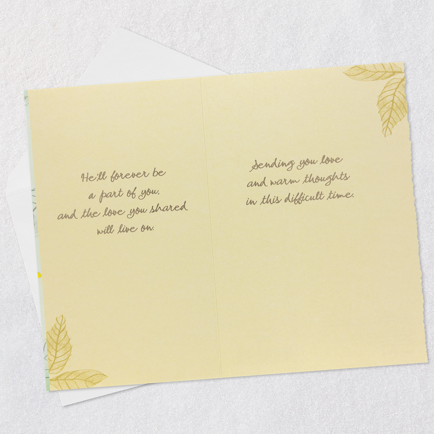 Bird on Branch Husband Sympathy Card  image number 4