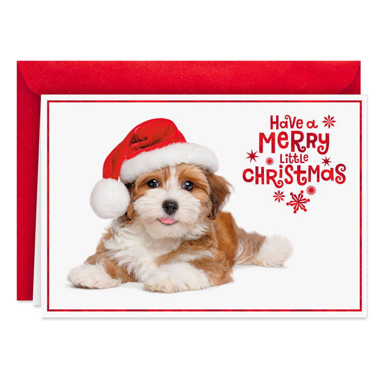 Warm Smiles Puppy Dog in Santa Hat Christmas Card
