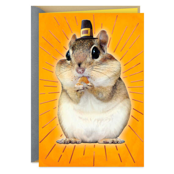 Chipmunk Cheeks Funny Thanksgiving Card, , large image number 1