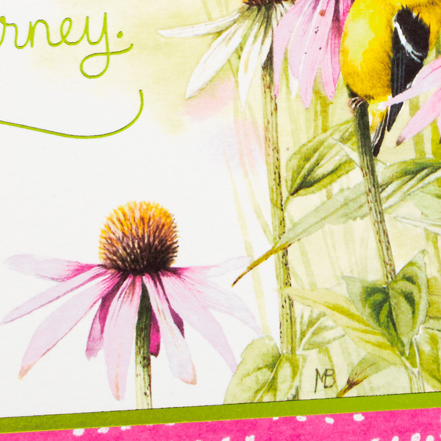 Bastin Flowers and Yellow Birds on White Birthday Card Card Front Detail image number 4