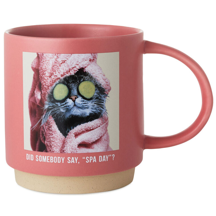 Cat Spa Day Funny Mug, 16 oz.