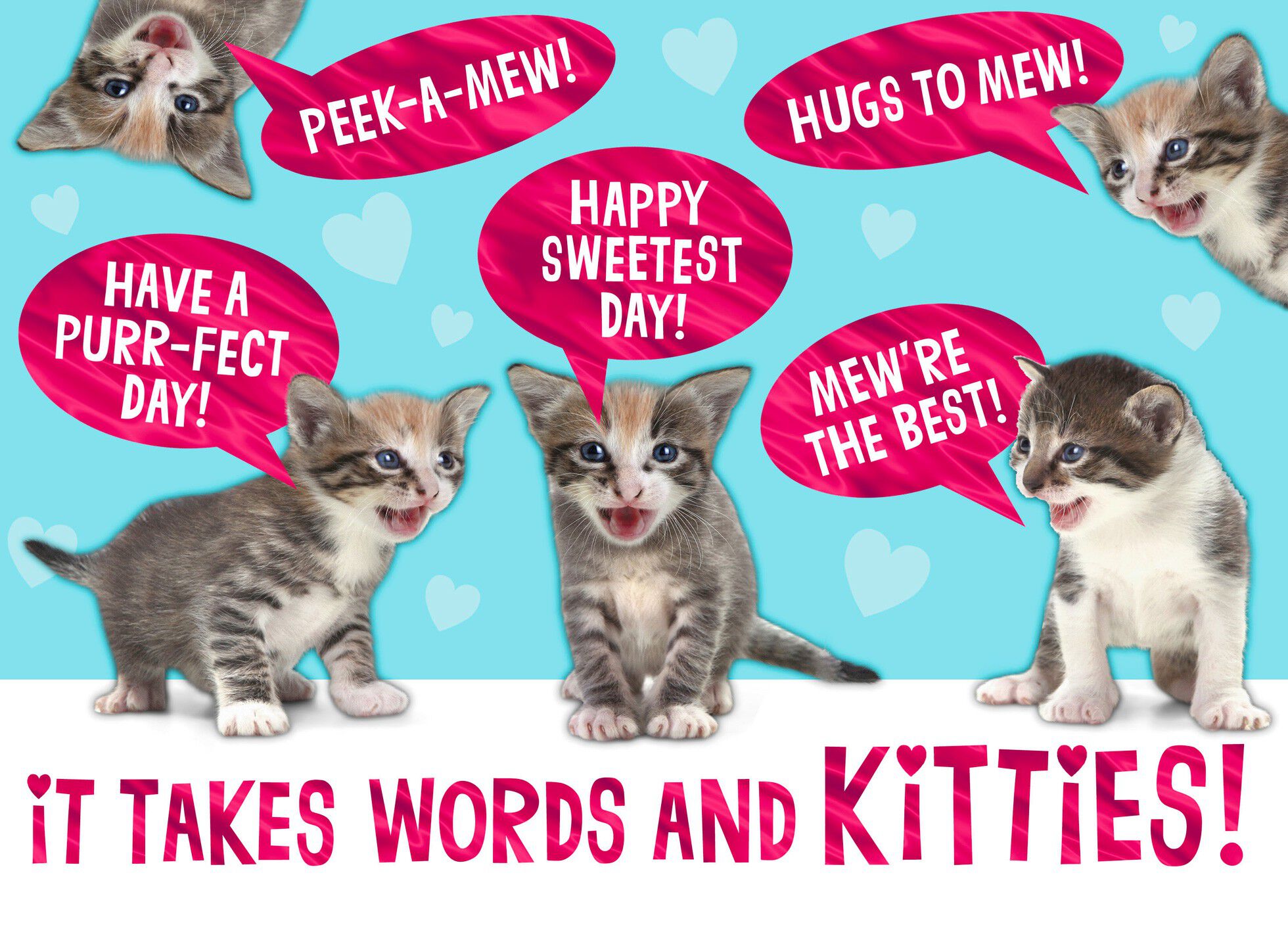 KITTENS! Funny Sweetest Day Card