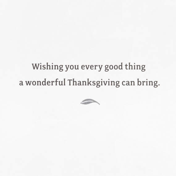 Wishing You Every Good Thing Boxed Thanksgiving Cards, Pack of 40, , large image number 4