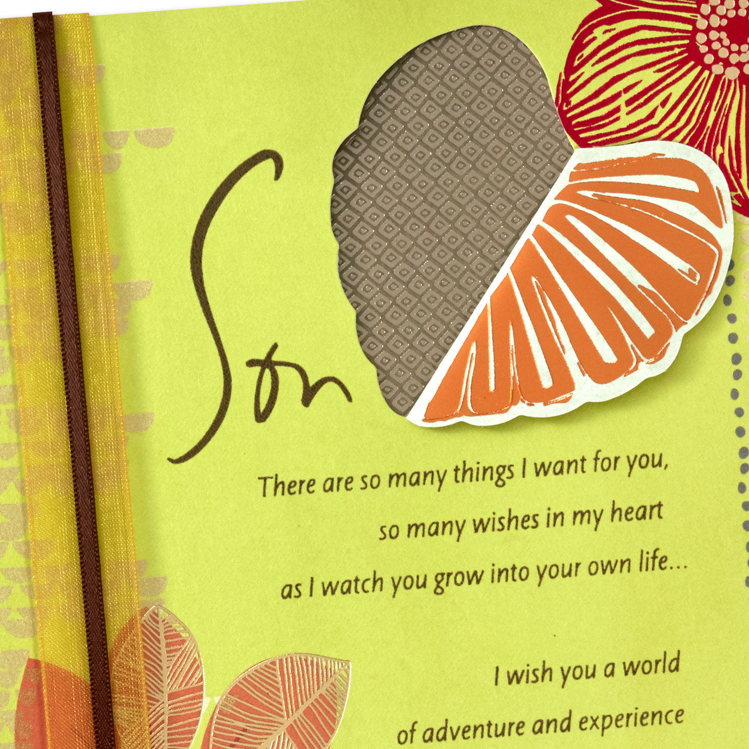 So Many Wishes for You in My Heart Birthday Card for Son, , large image number 5