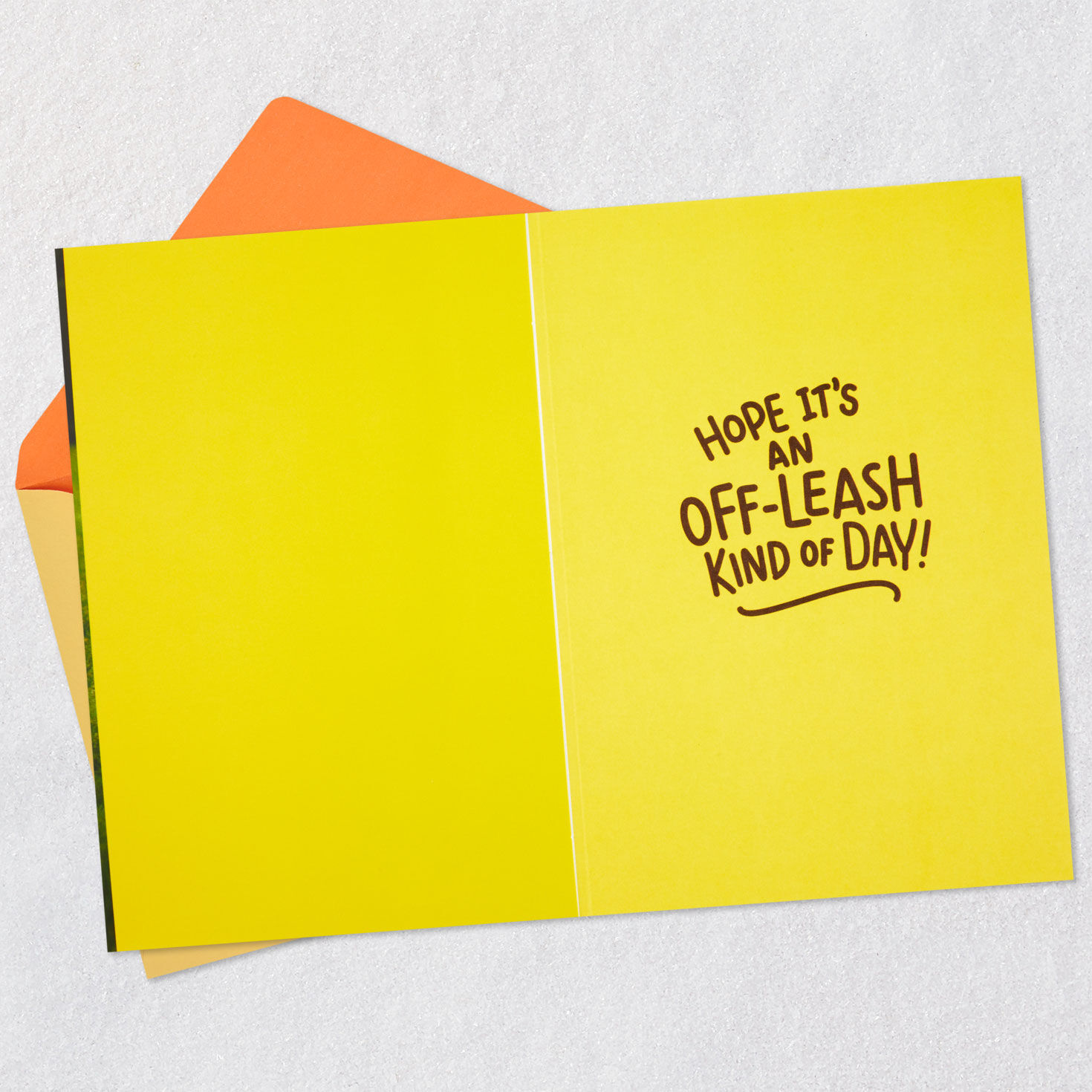 Excited Dog Funny Birthday Card Open card with envelope image number 3
