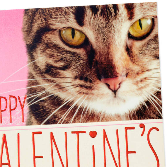 You're in My Chair Funny Valentine's Day Card From Cat, , large image number 4