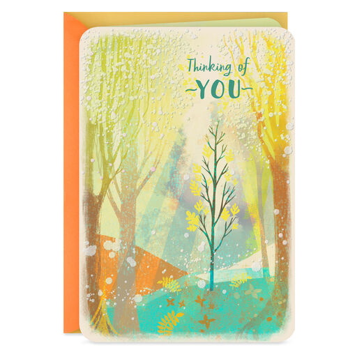Caring Thoughts Shining Through Thinking of You Card, 