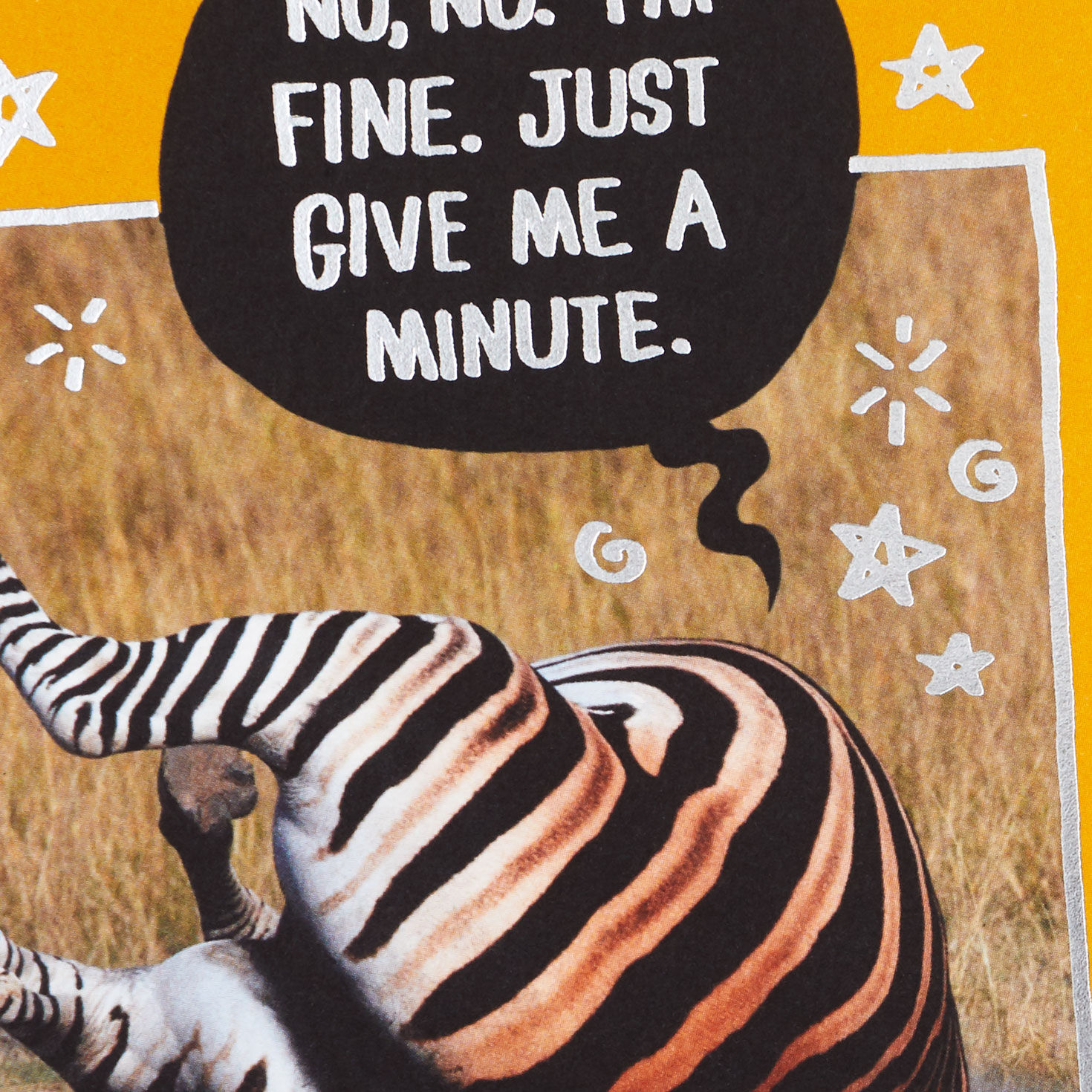 Fallen Zebra Funny Get Well Card Card Front Detail image number 4