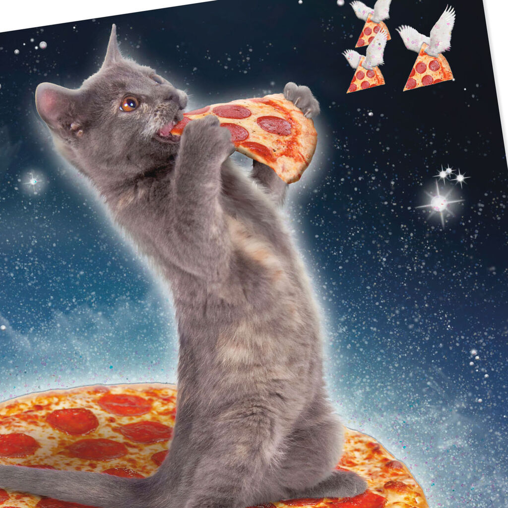 Cosmic Cat And Pizza Funny Birthday Card Greeting Cards Hallmark