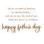 You're So Amazing Father's Day Card for Brother, , large image number 3